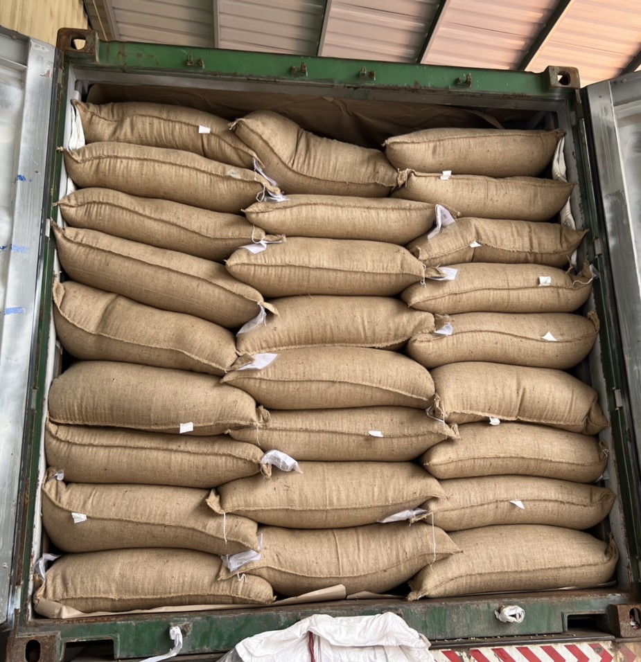 Container đóng bao cà phê xay 25kg xuất khẩu FCL