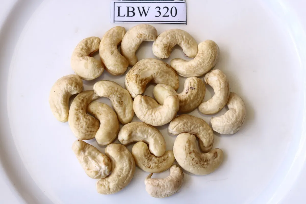Hạt Điều LBW320