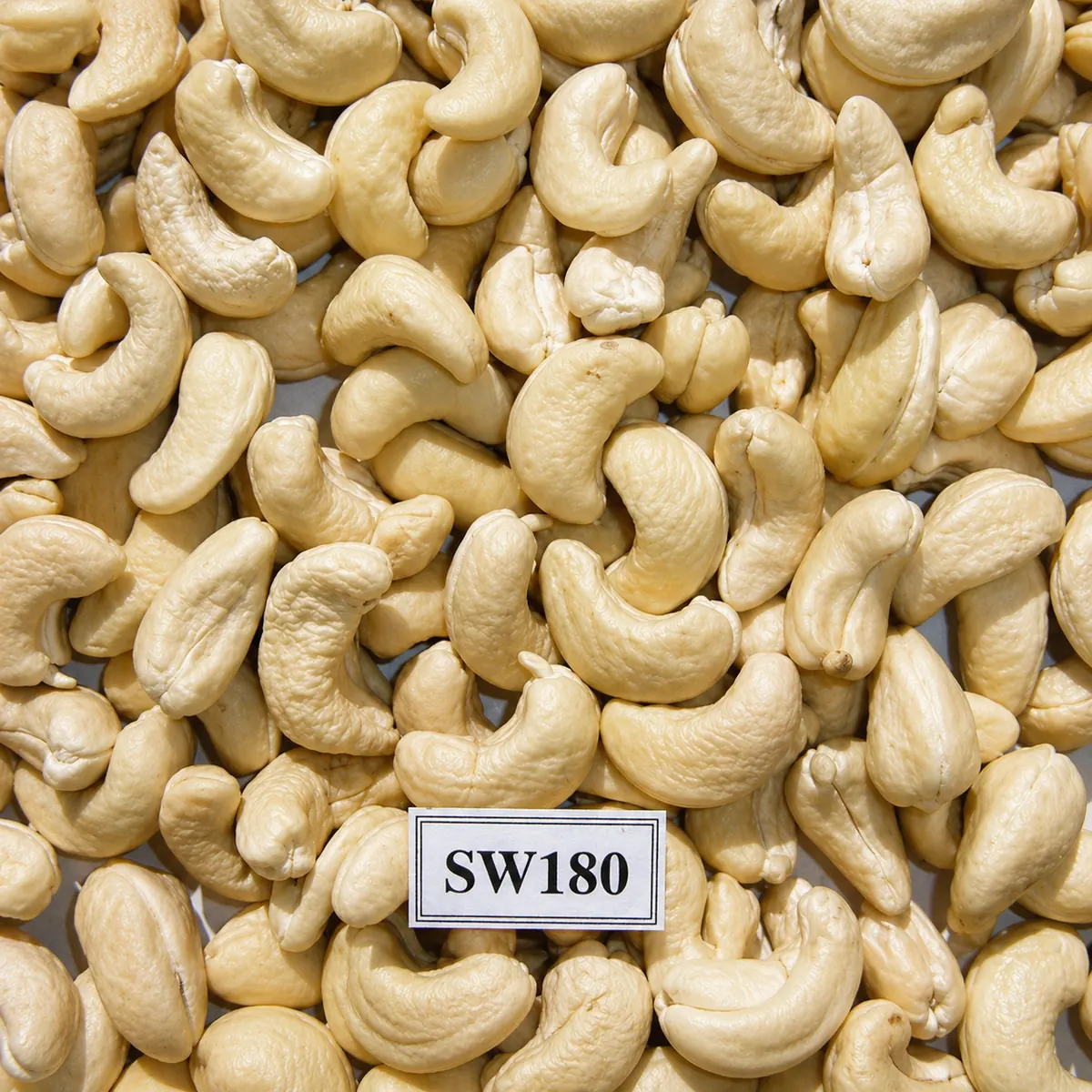 Hạt Điều SW180 — ảnh 2