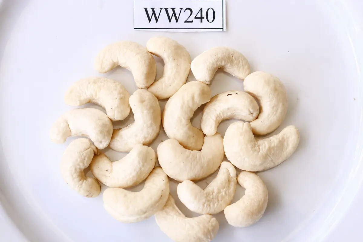 Hạt Điều WW240 — ảnh 2
