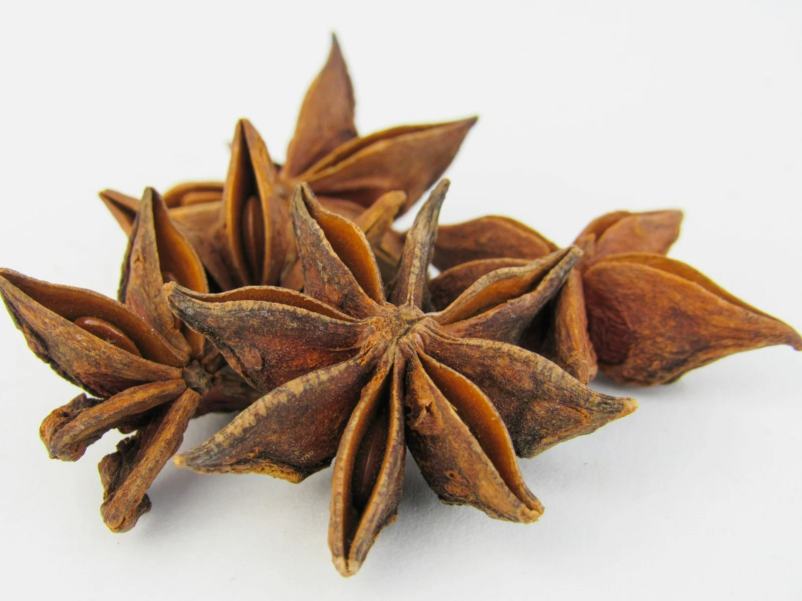 Hoa Hồi