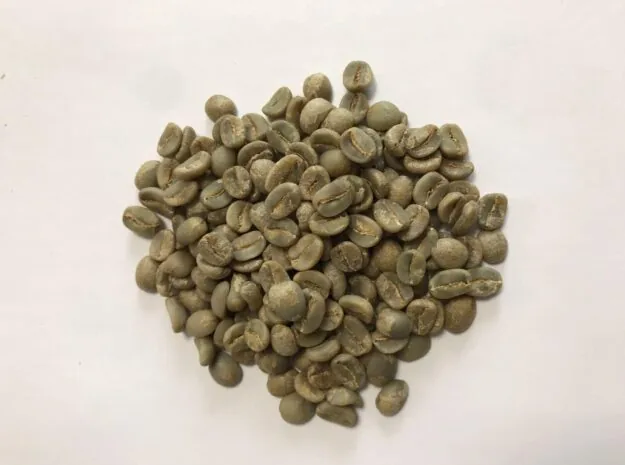 Arabica nhân xanh Full Washed S16