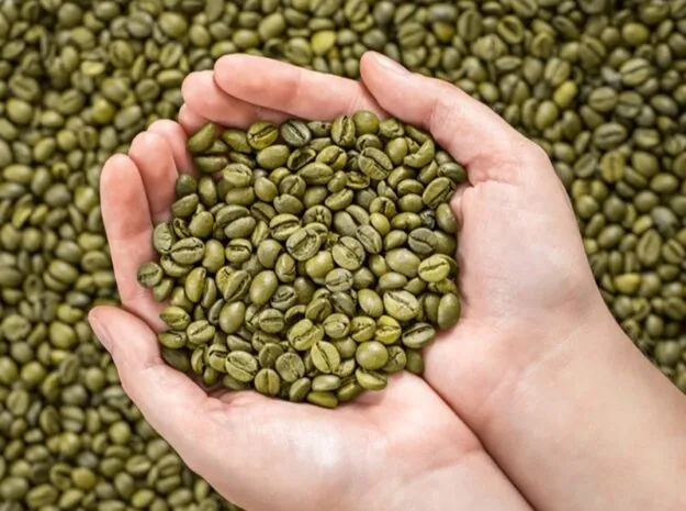 Arabica nhân xanh Wet Polished S16