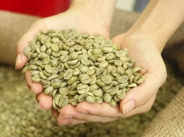 Arabica nhân xanh Wet Polished S18