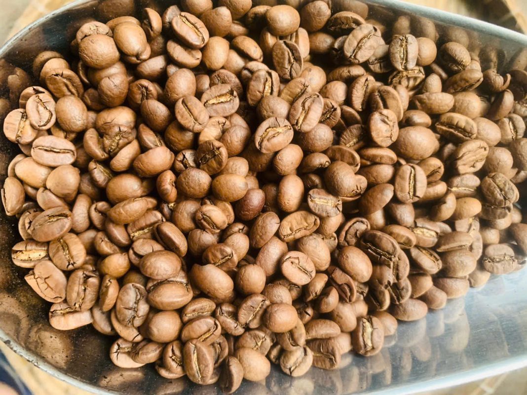 Dây chuyền rang khí nóng HotaNuts — đo Agtron, lưu hồ sơ riêng từng người mua